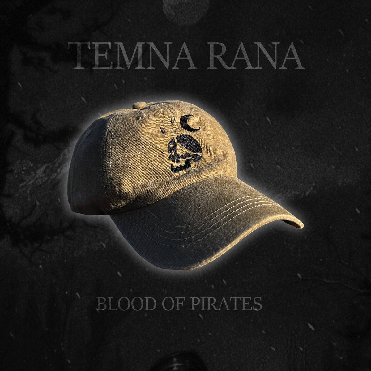 Cap «Blood of Pirates 2» black by Temna Rana