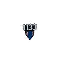 Pin "MASK 1133"