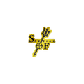 Pin «SOF» gold