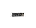 Pin "TORETSK" silver