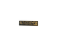 Pin "TORETSK" gold